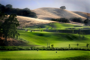 Gorgeous Callippe Preserve Golf Course in Pleasanton, CA